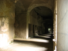 IMG_1074.JPG
