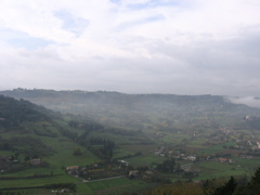 IMG_0552