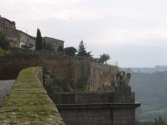 IMG_0557
